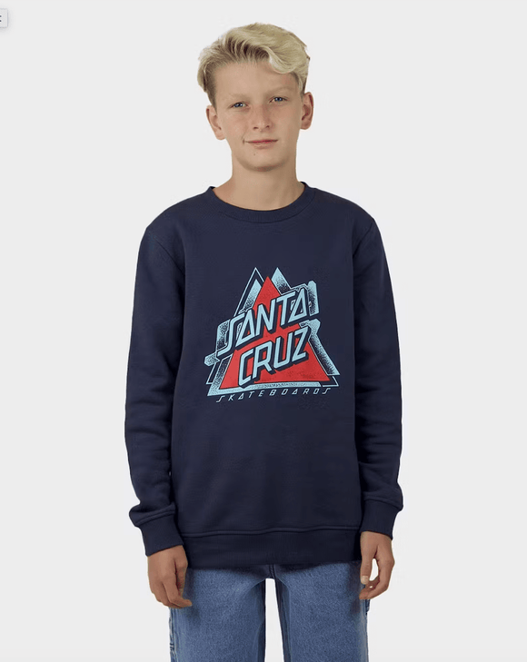 SANTA CRUZ SPLIT NOT A DOT FRONT SWEATER